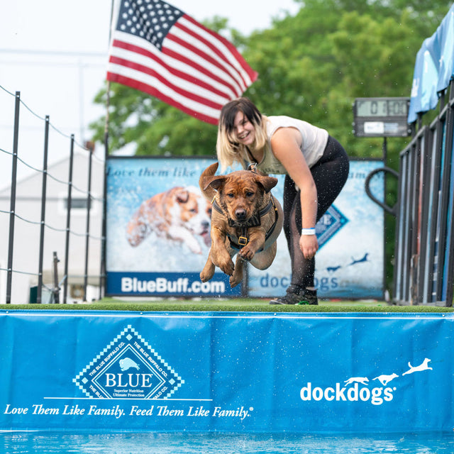 7th Annual North Fork Dog Dock Diving Pet Expo June 1st & 2nd